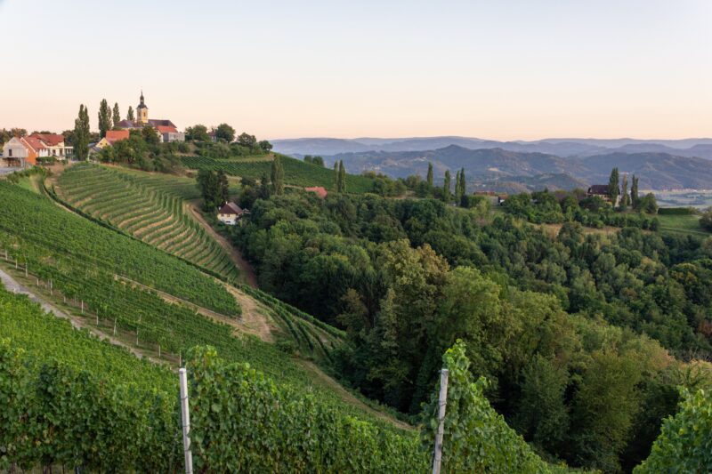 vineyards,and,village,view,in,kitzeck,,south,styria,,austria